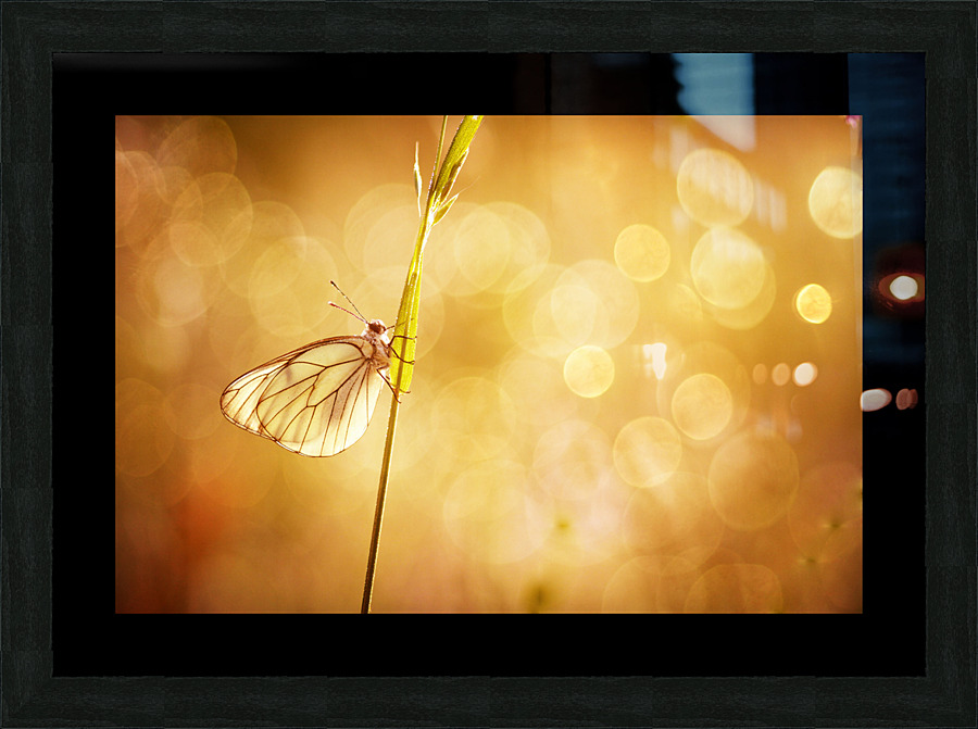 Warm Picture Frame print