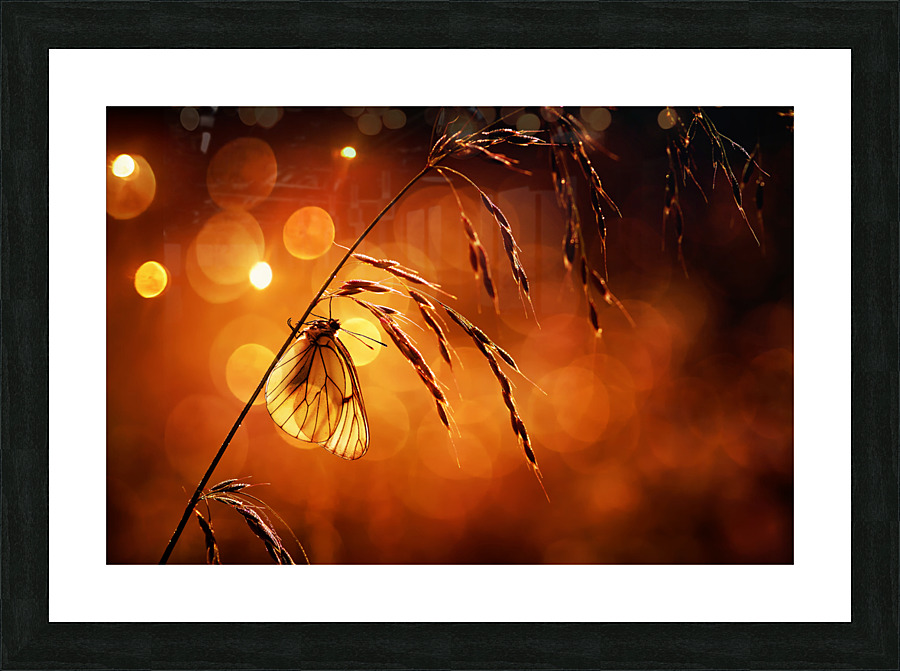 Bokeh Picture Frame print