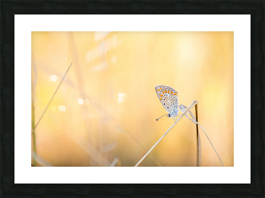Slope Picture Frame print