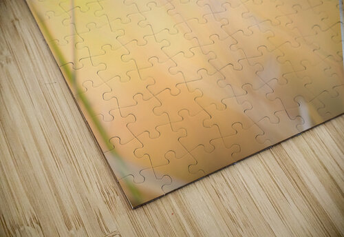 Slope Didier Steyaert puzzle