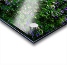 Lupine Kaleidoscope Acrylic print