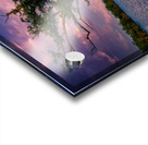 Bayou Twilight Acrylic print
