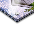 The Outhouse Acrylic print