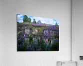 Springtime Symphony Acrylic Print