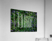 Lupine Kaleidoscope Acrylic Print