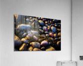 Boulder Beach Radiance Acrylic Print