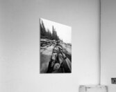 Granite & Pine Acrylic Print