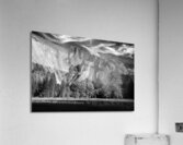 Tis sa ack Acrylic Print