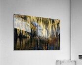 From Sunlight to Shadow Acrylic Print