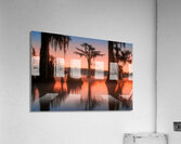 Bayou Dream Acrylic Print