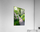 Into the Woods Acrylic Print
