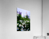 Colorful & Grey Acrylic Print
