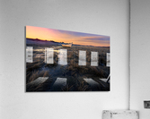 Morning Dory Acrylic Print