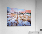 Winter on the Plain Acrylic Print