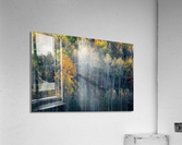 Stay Gold Acrylic Print