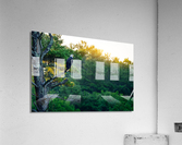 The Sentinel Acrylic Print