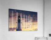 Summer Awakening Acrylic Print