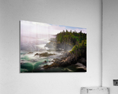 Cutler Coast Acrylic Print