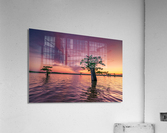 Atchafalaya Sunset Acrylic Print