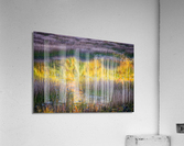 The Tarn Acrylic Print