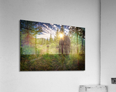 Bonanza Cemetery Acrylic Print
