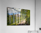 Grand Mogul Acrylic Print