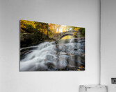 Vaughan Woods Acrylic Print