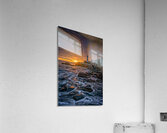 Shining Through Acrylic Print