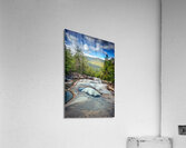 Lookout from Step Falls Acrylic Print