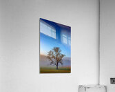 Autumn Glow Acrylic Print