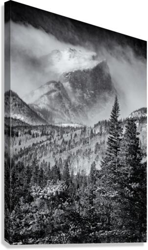 Hallett Peak Canvas Print