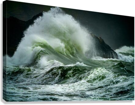 Sirens Song IV Canvas Print