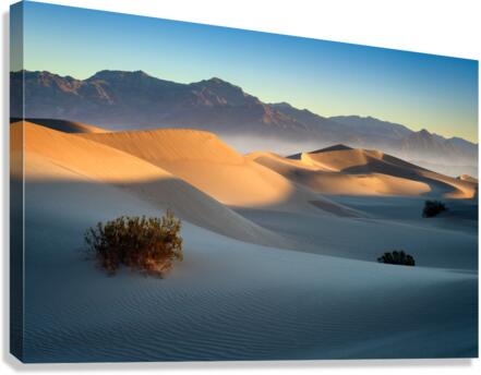 Mesquite Dunes Canvas Print