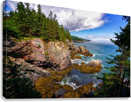 Cutler Coast II Canvas Print