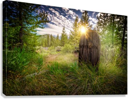 Bonanza Cemetery Canvas Print