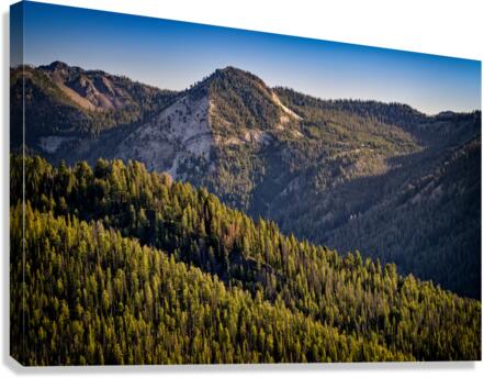 Sawtooth Foothills Canvas Print