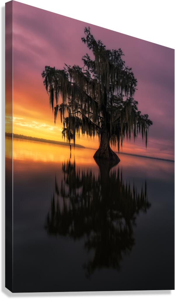 Bayou Dawn Canvas Print