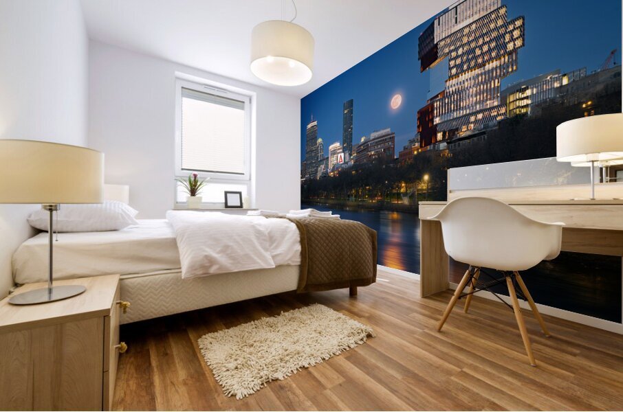 Moonrise Over Boston Mural print