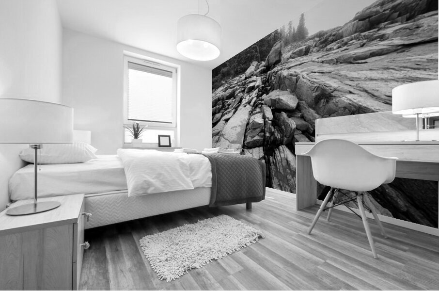 Granite & Pine Mural print