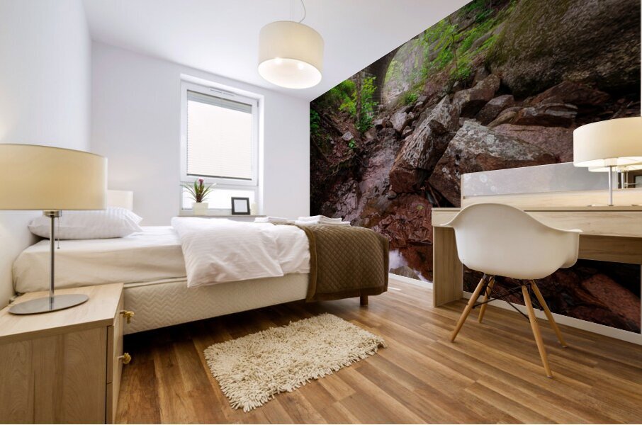 Waterfall Bridge Mural print