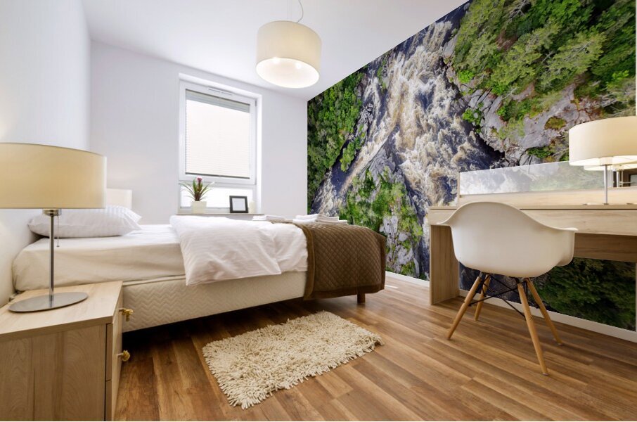 Ripogenus Gorge Mural print