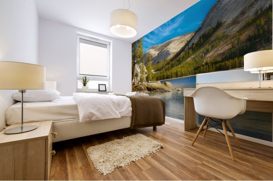 Tenaya Lake Mural print