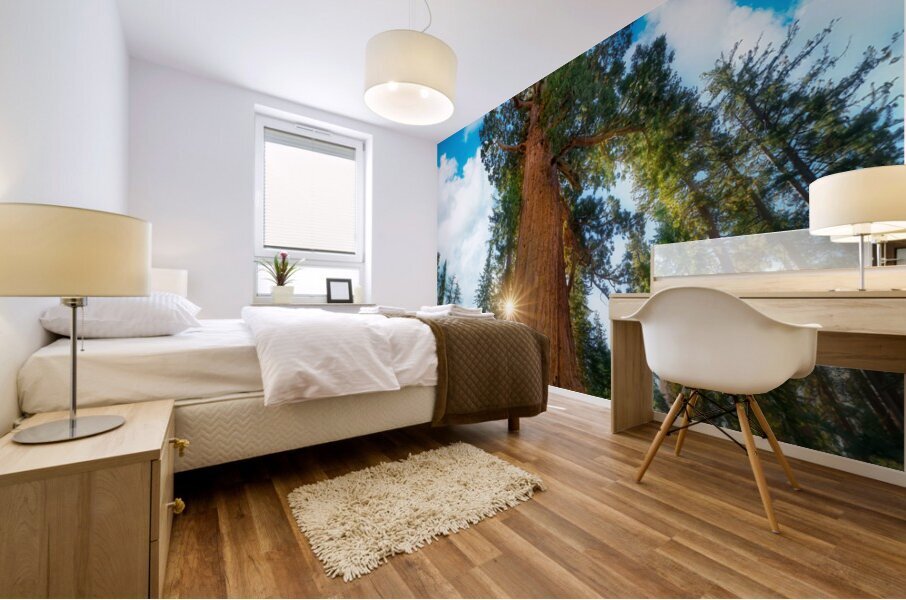 Grizzly Giant Mural print