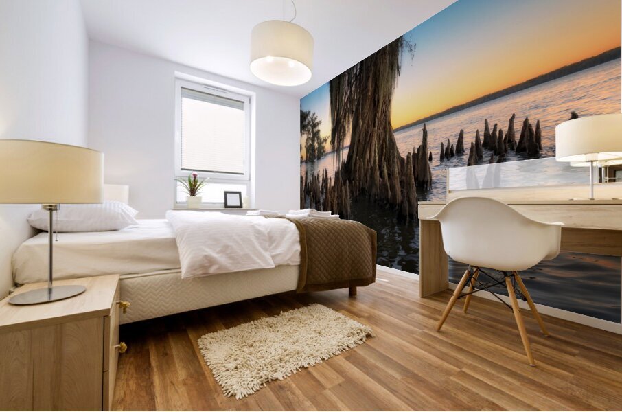 Cypress Shallows Mural print