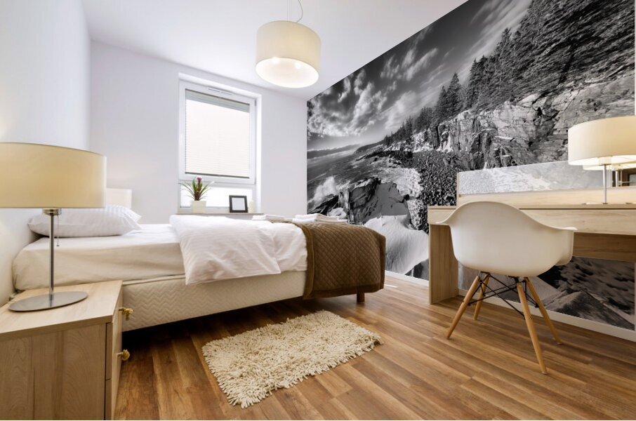 The Storms Remnants Mural print