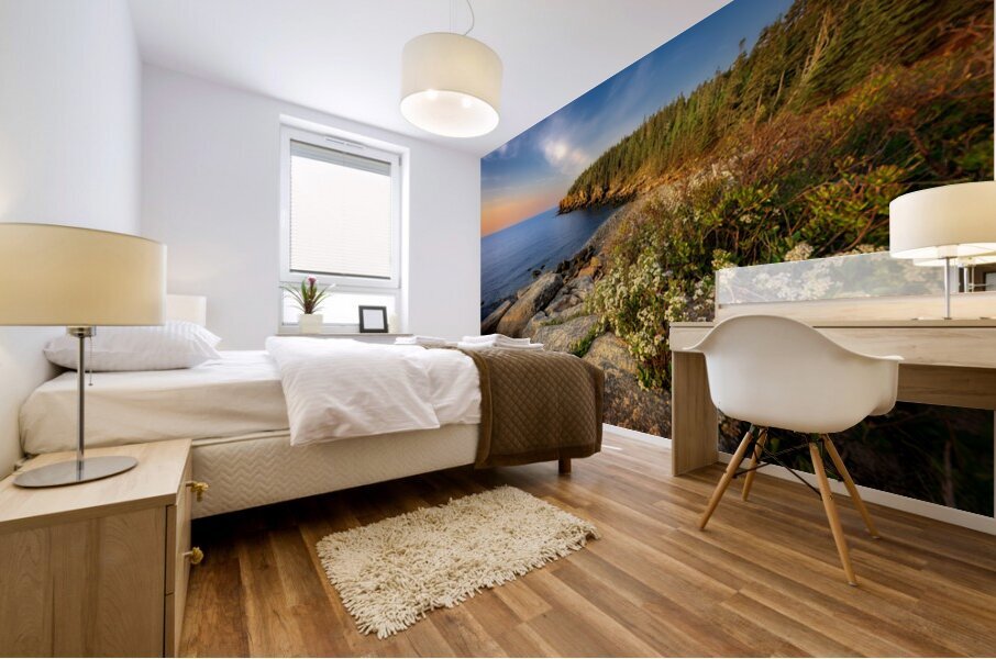 Springtime Acadia Mural print
