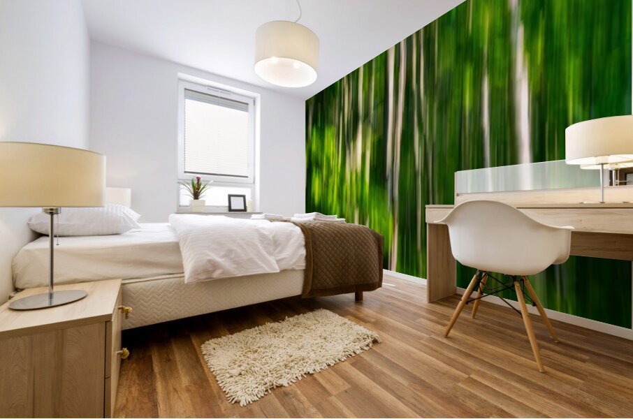 Spring Birches Abstract Mural print