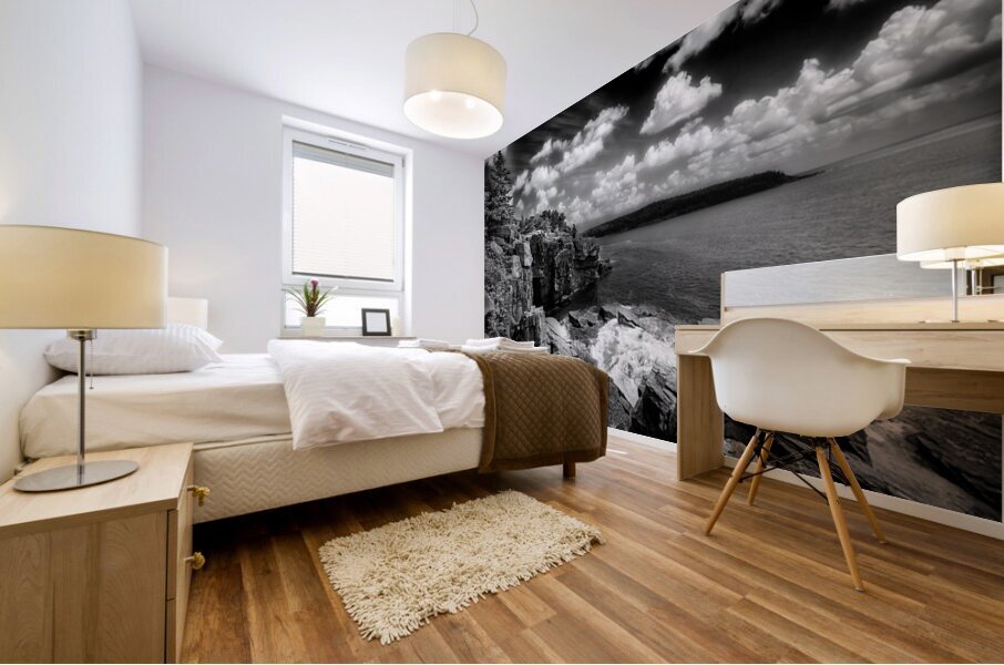 Granite Coastline Mural print