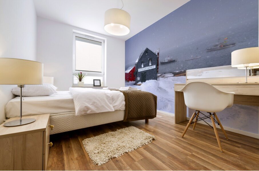 Winter at Five Islands Mural print