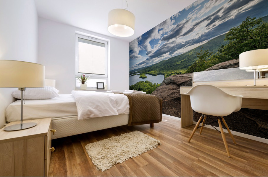 Squam Lake Mural print